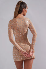 Sheer Embellished Long Sleeve A-Line Mini Dress in Almond